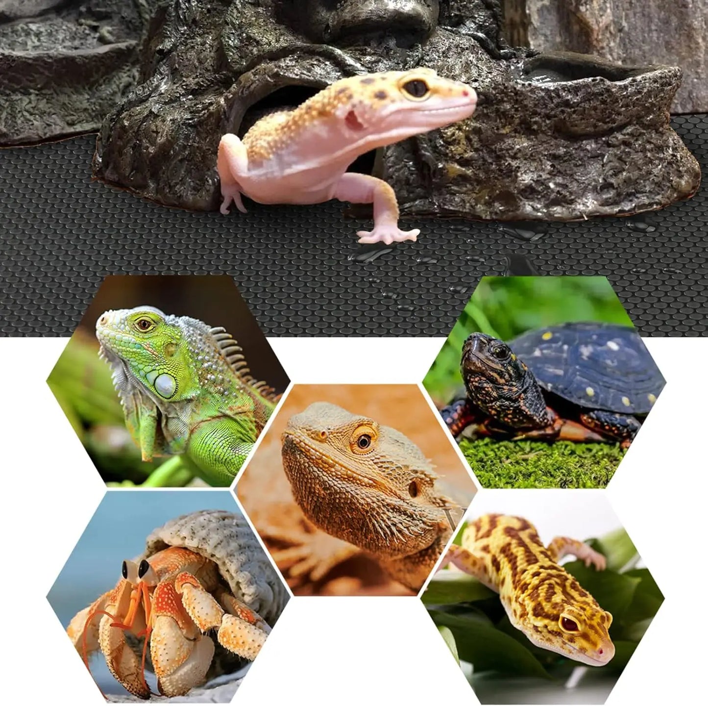 Reptile Terrarium Carpet Substrate Non Adhesive Bedding For Bearded Dragons
