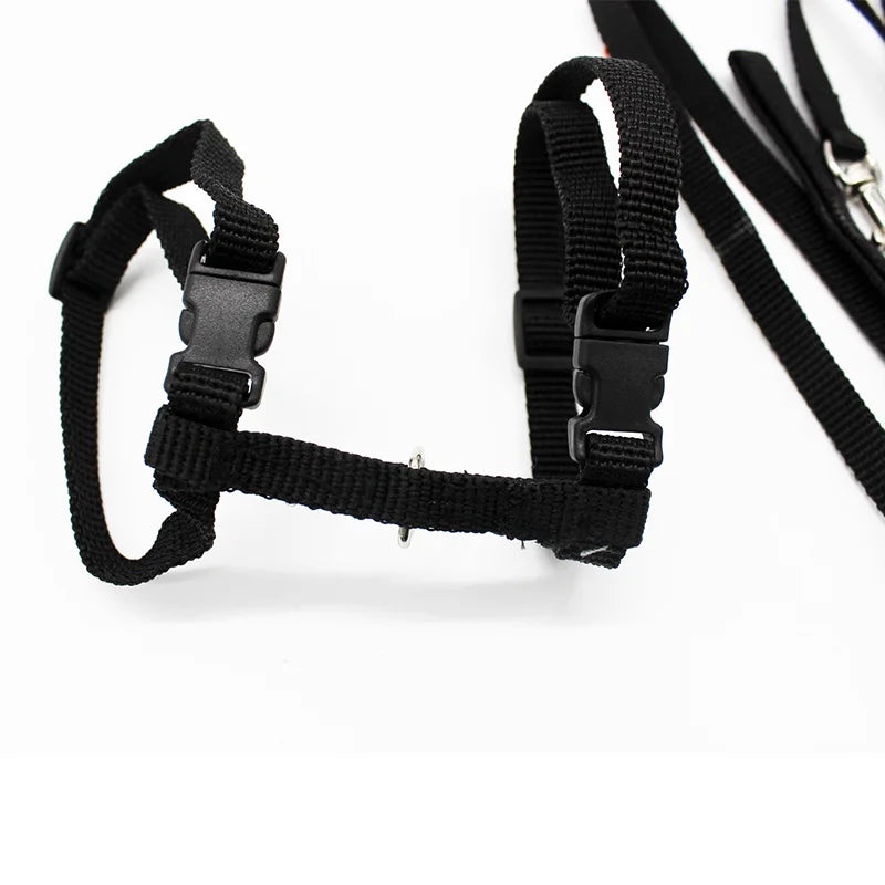 Adjustable Nylon Cat Collar And Leash Set For Cats