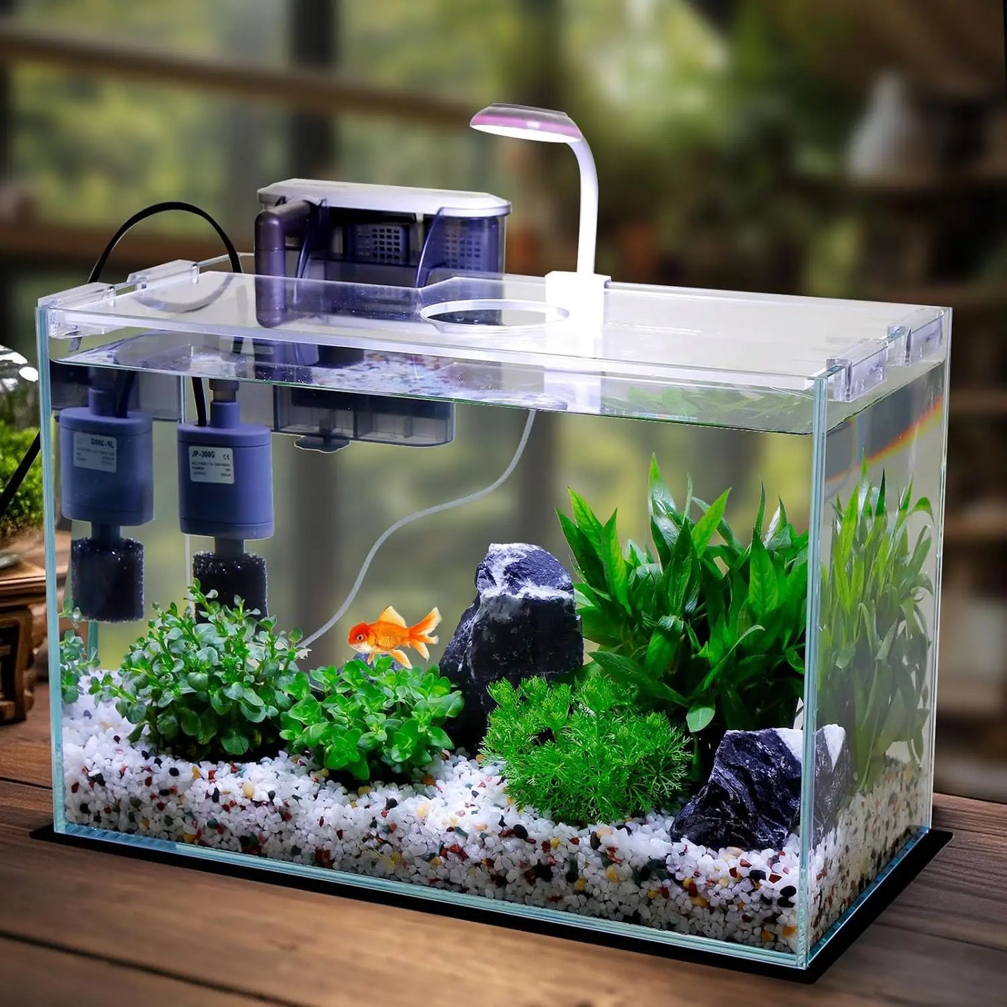 Small Glass Betta Tank Starter Kit With Filter And Light