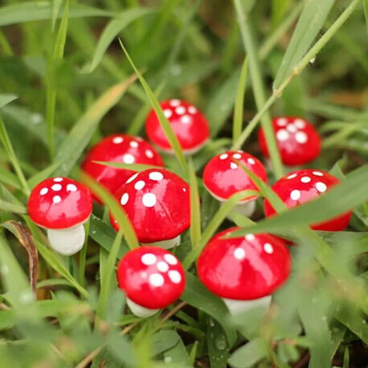 Mushroom Garden Ornaments For DIY Bonsai And Potted Decor