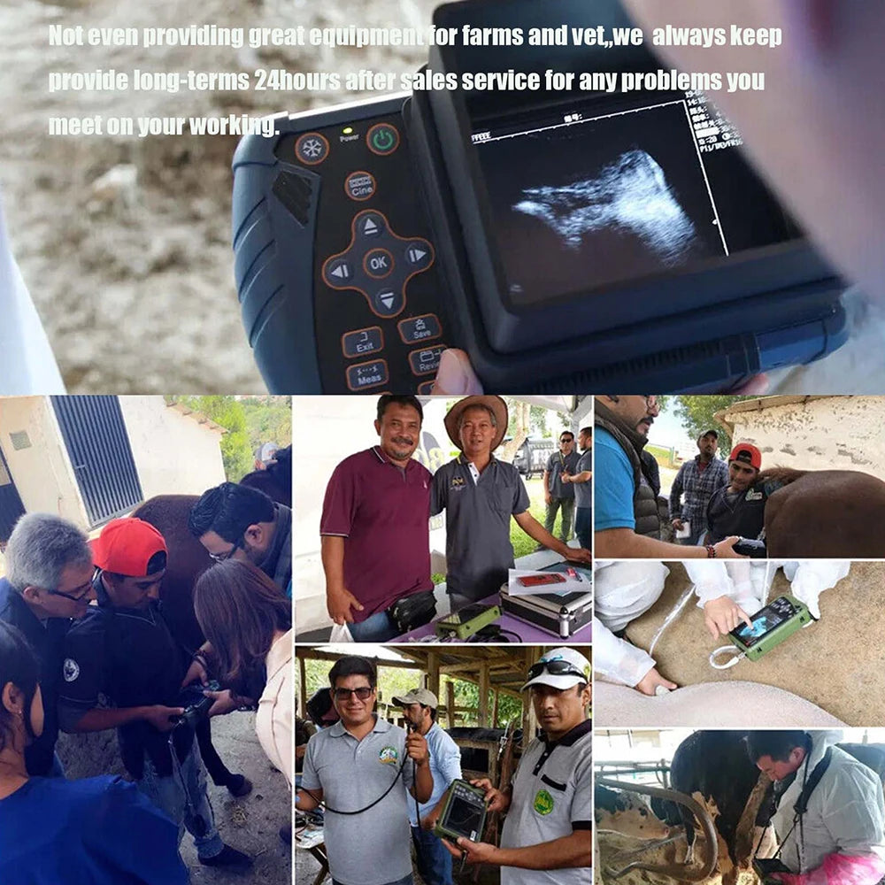 DAWEI Portable Veterinary Pregnancy Ultrasound Scanner With 3.5MHz Convex Probe