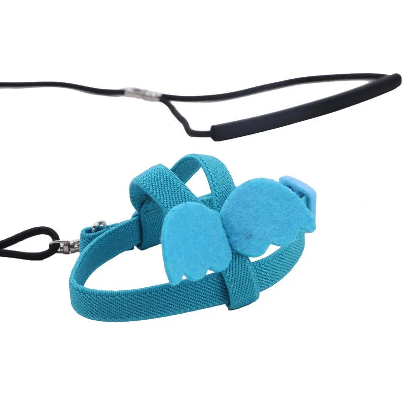 Parrot Harness And Leash Set For Birds Anti Bite Training Cockatiel