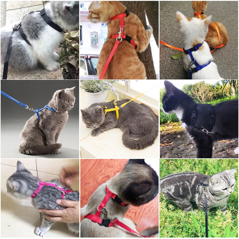 Adjustable Nylon Cat Collar And Leash Set For Cats