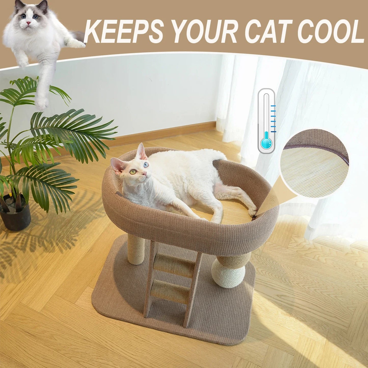 All In One Cat Tree With Scratching And Plush Bed For Indoor Cats