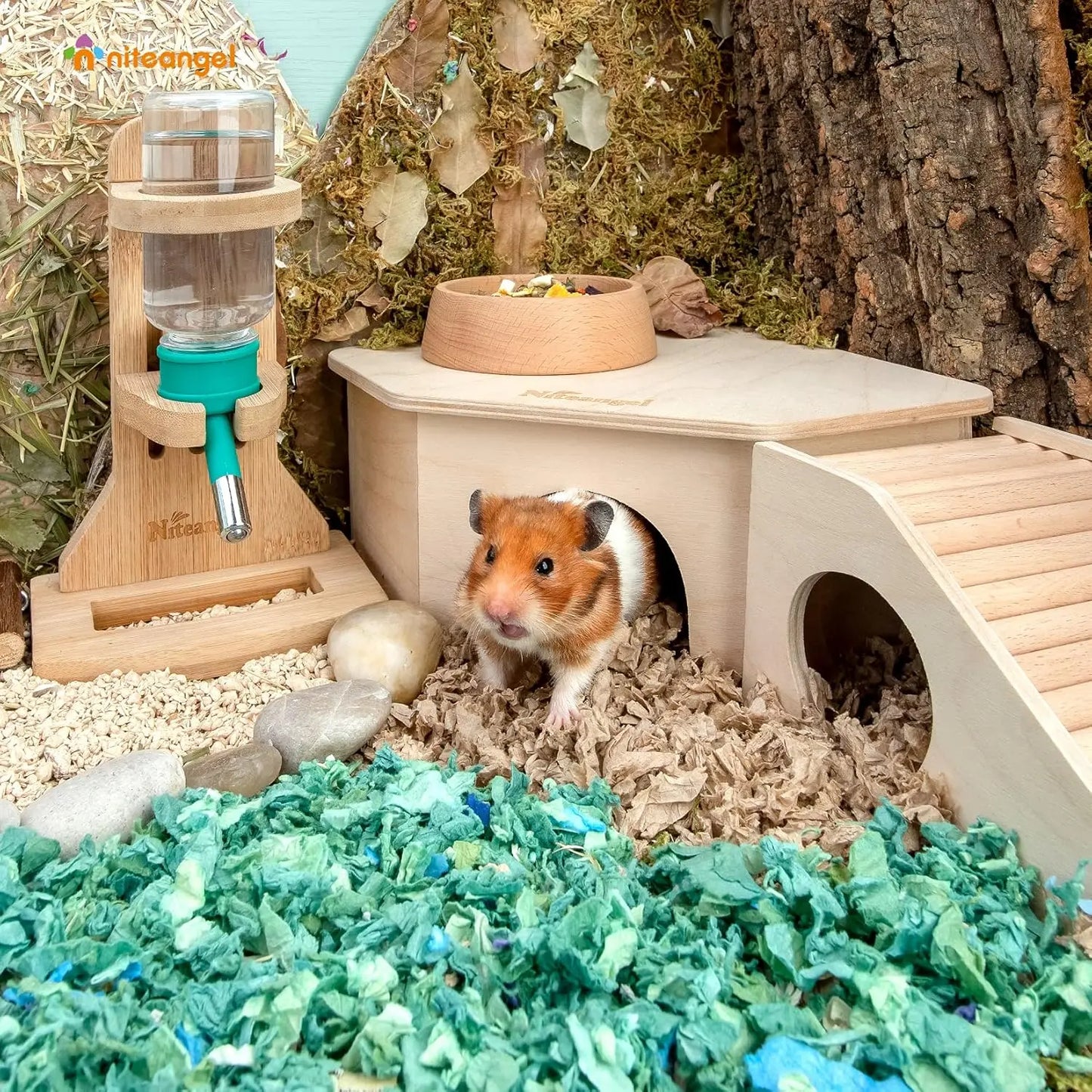 Birch Wood Hamster Hideout With Climbing Ramp For Dwarf Hamsters