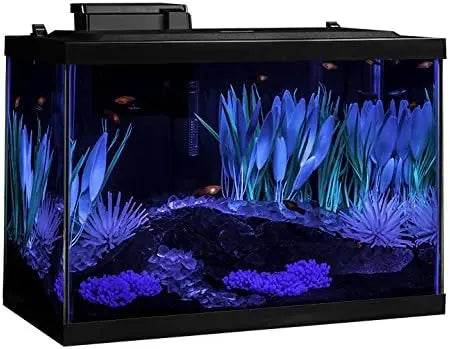 Aquarium Kit With LED Lighting And Decor Complete Tank Setup