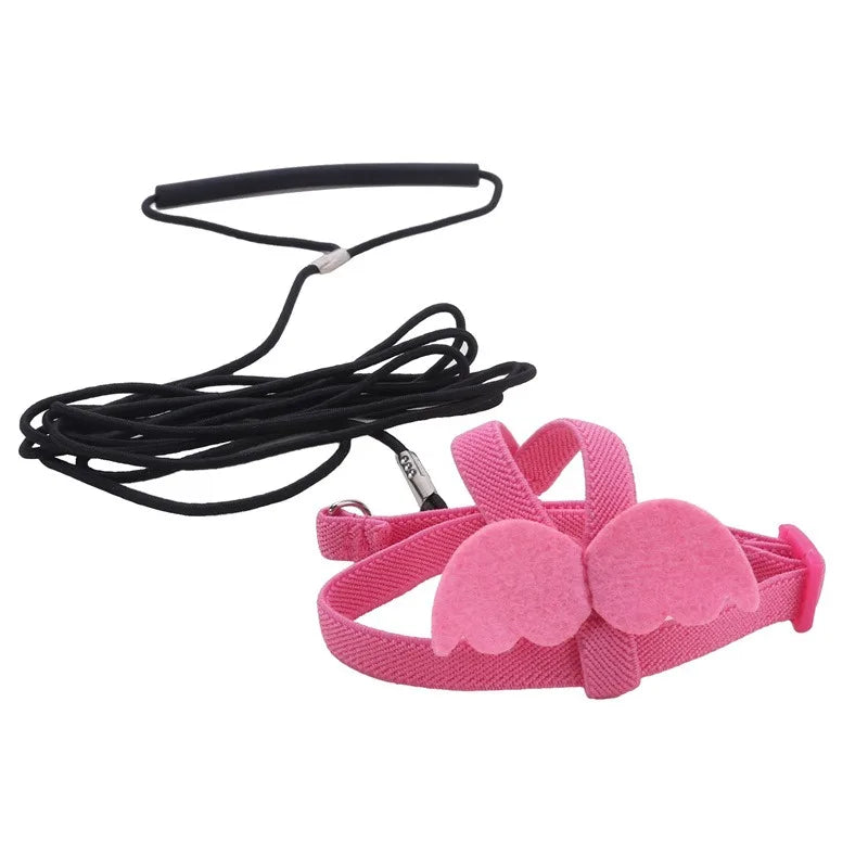 Parrot Harness And Leash Set For Birds Anti Bite Training Cockatiel