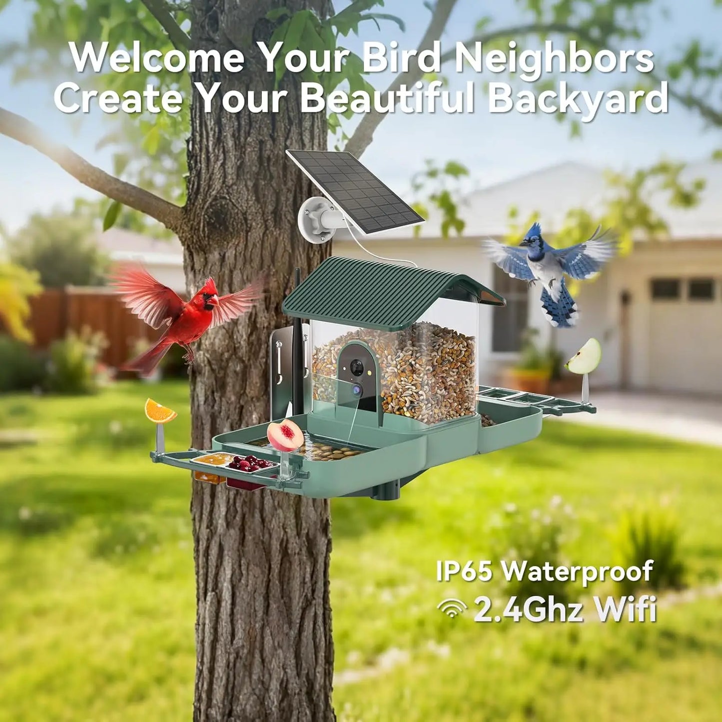 Dual-Lens Bird Feeder With Camera And Bird Bath WiFi 2K
