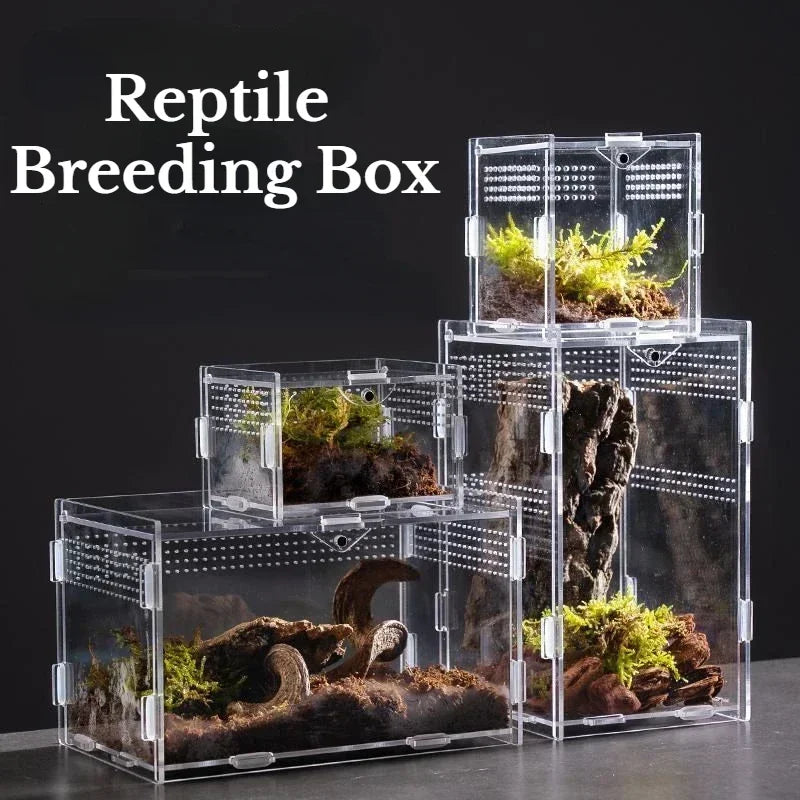 Acrylic Reptile Terrarium Breeding Box Enclosure For Pets