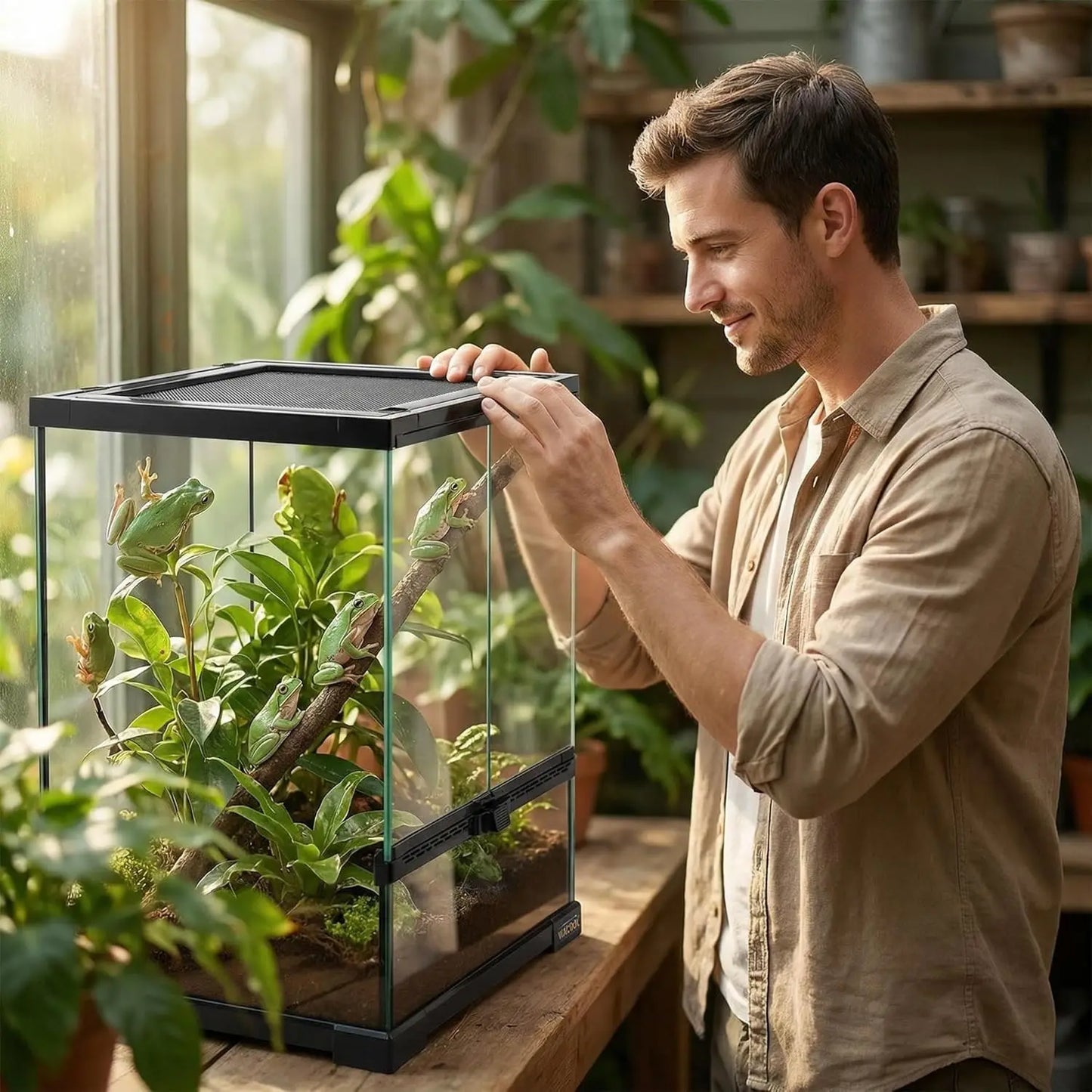 Vertical Glass Reptile Terrarium With Front Door Top Screen Vent