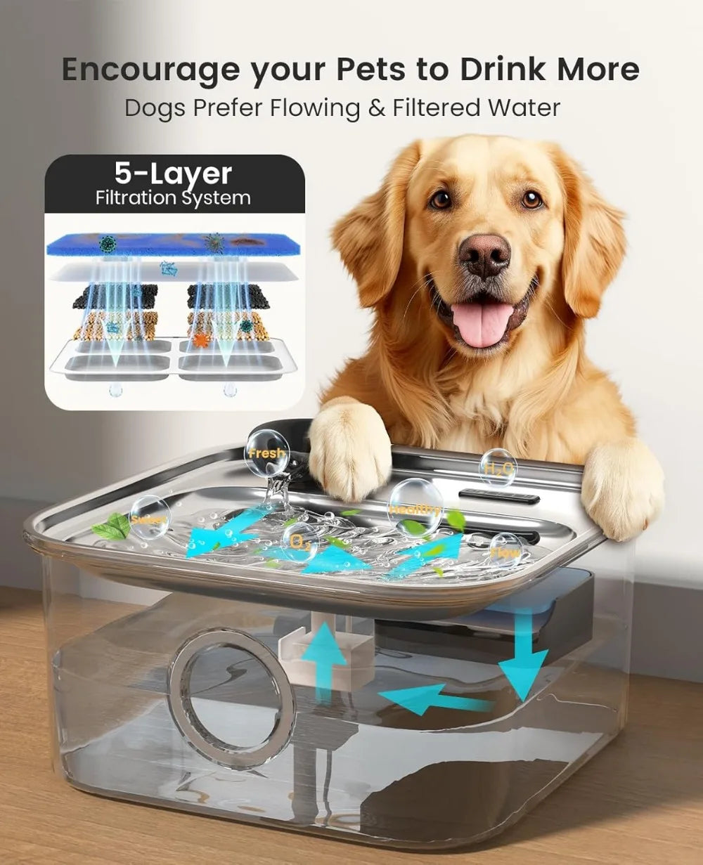 Stainless Steel Dog Water Fountain for Large Breeds Quiet Pump