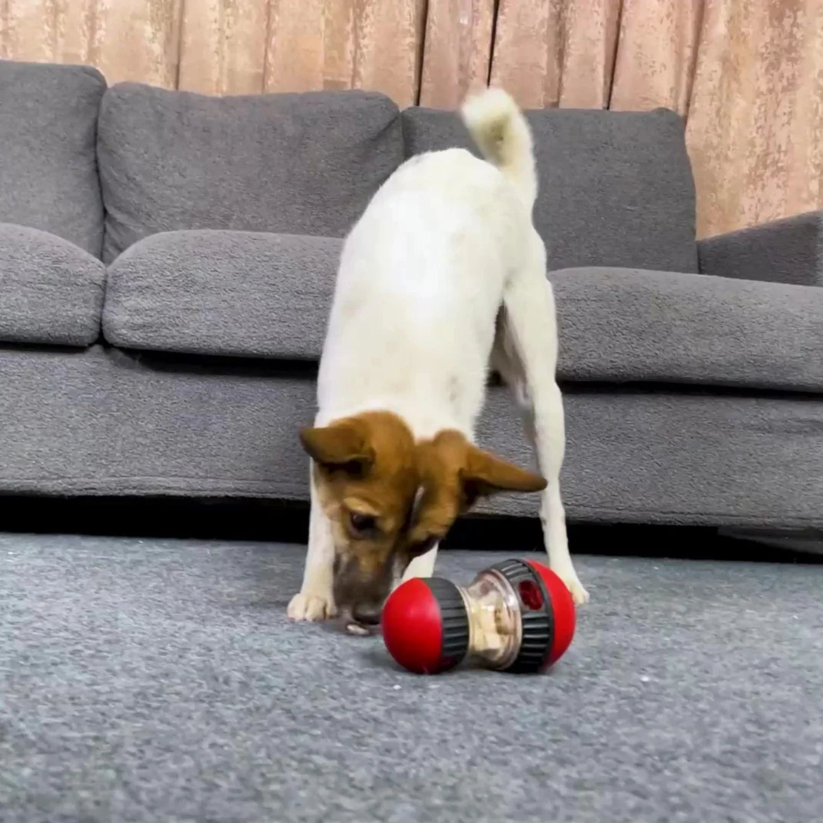 Holapet Interactive Dog Toy Slow Feeder Ball for Dogs