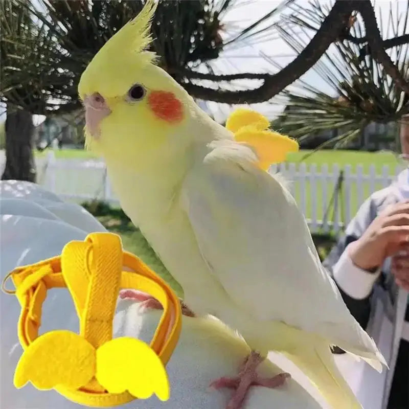 Parrot Harness And Leash Set For Birds Anti Bite Training Cockatiel