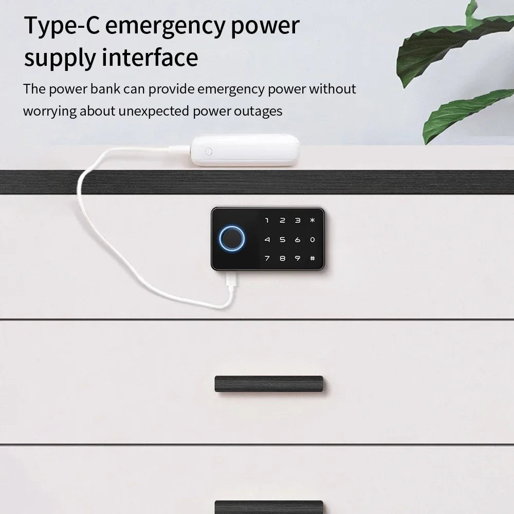 Lucking Door Tuya Smart Fingerprint Cabinet Lock For Furniture