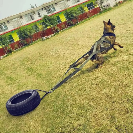 Working Dog Pull Training Leash And Sled Safety Belt
