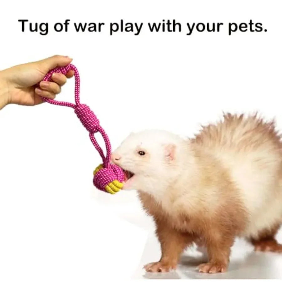 Ferret Chew Toys With Squeakers Durable Tug of War Pack