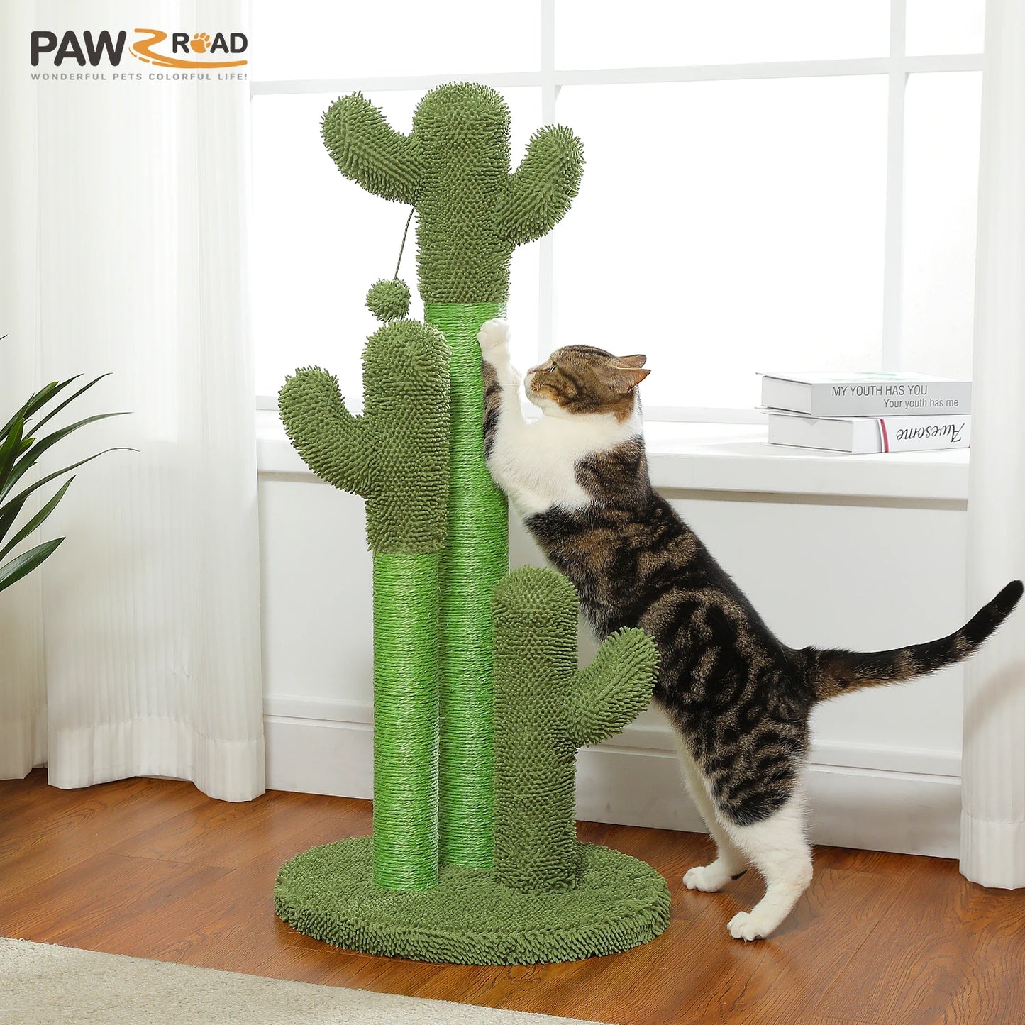 PEQULTICN Cactus Cat Tree With Condo Hammock And Ball