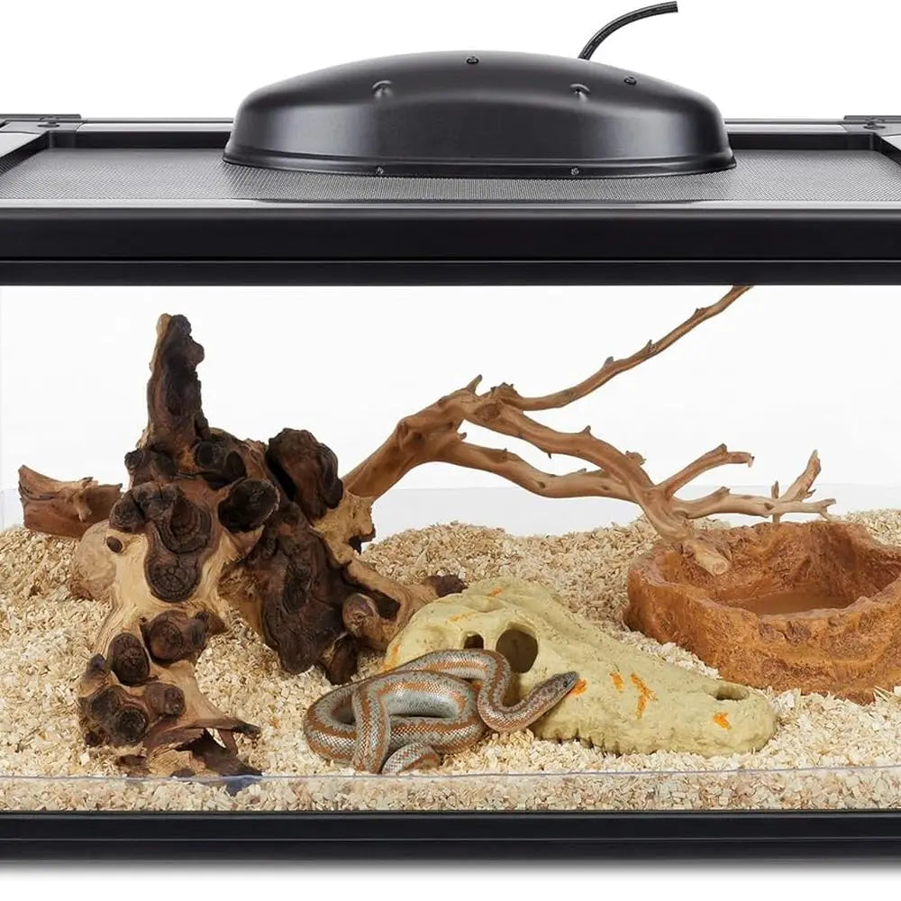 Glass Terrarium With Bedding Tray For Reptiles And Amphibians