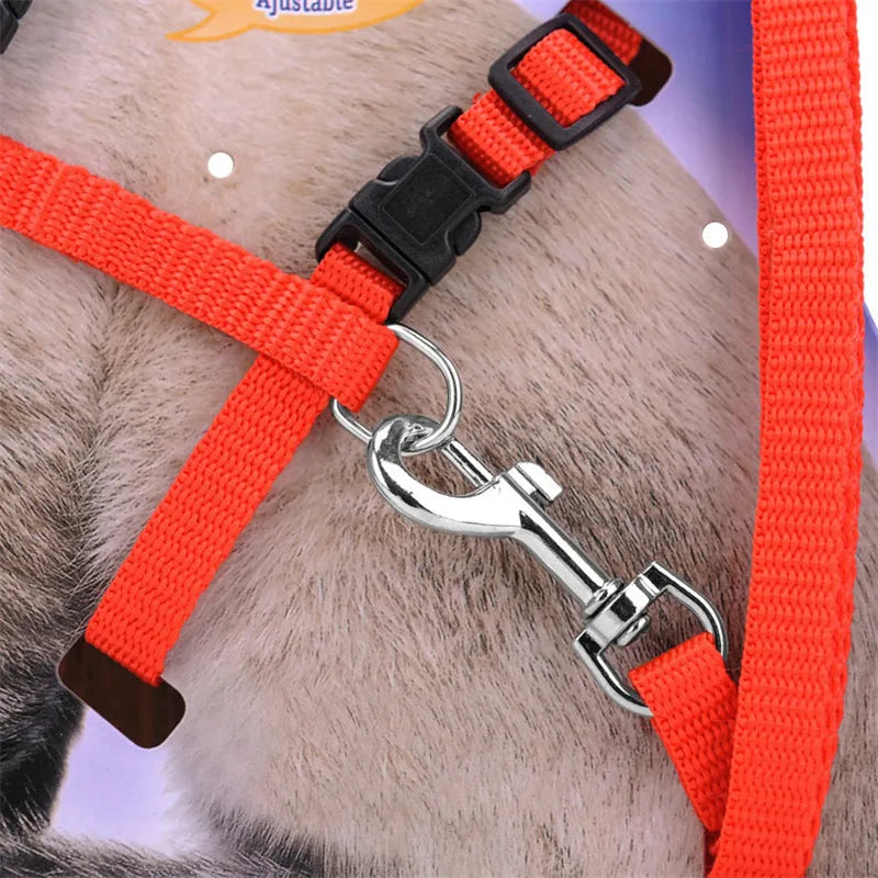 Adjustable Nylon Cat Collar And Leash Set For Cats
