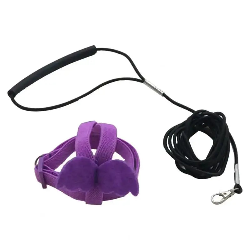 Parrot Harness And Leash Set For Birds Anti Bite Training Cockatiel