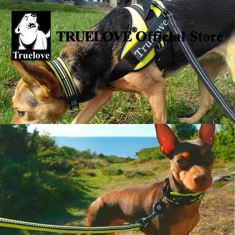 Truelove Nylon Adjustable Dog Collar Reflective Padded TLC5011