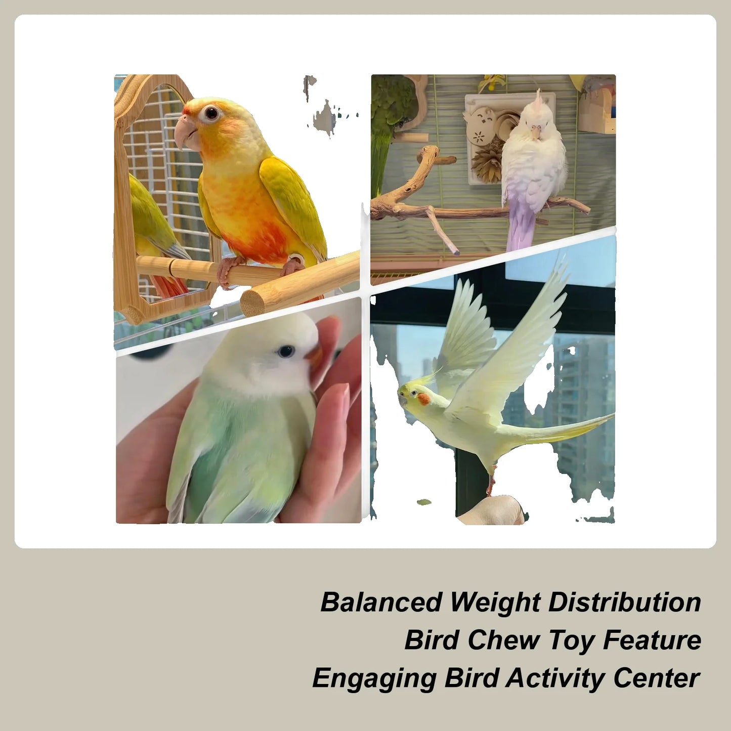 Seagrass Bird Swing For Parakeets Parrots Small Birds Cage Accessory