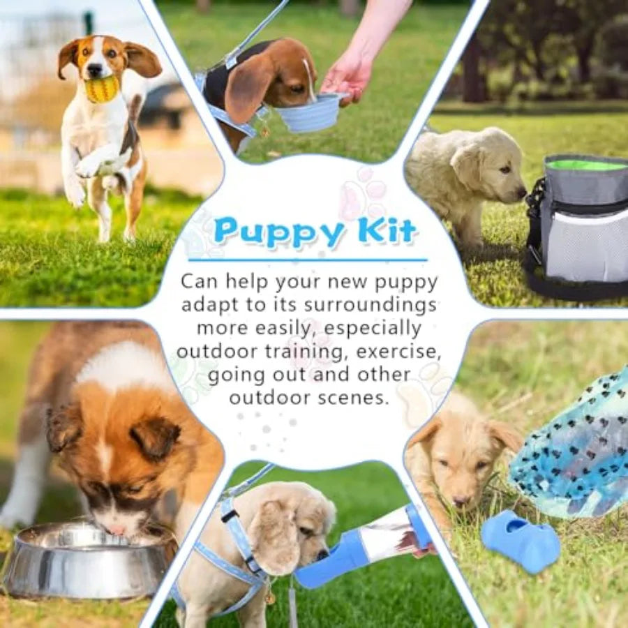 65 Piece Puppy Supplies Starter Kit With Leash Toys Bowls
