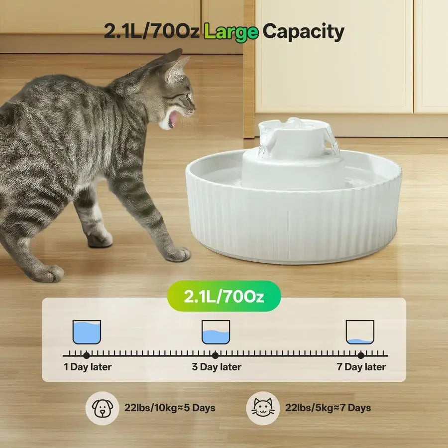 Cat And Dog Water Fountain