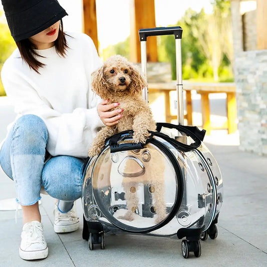 Travel Pet Carrier Backpack for Cats and Dogs