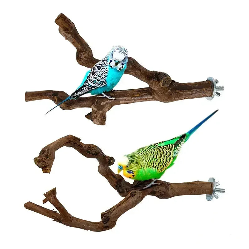 Grapewood Parrot Perch Foraging Stick Safe Chewing Toy