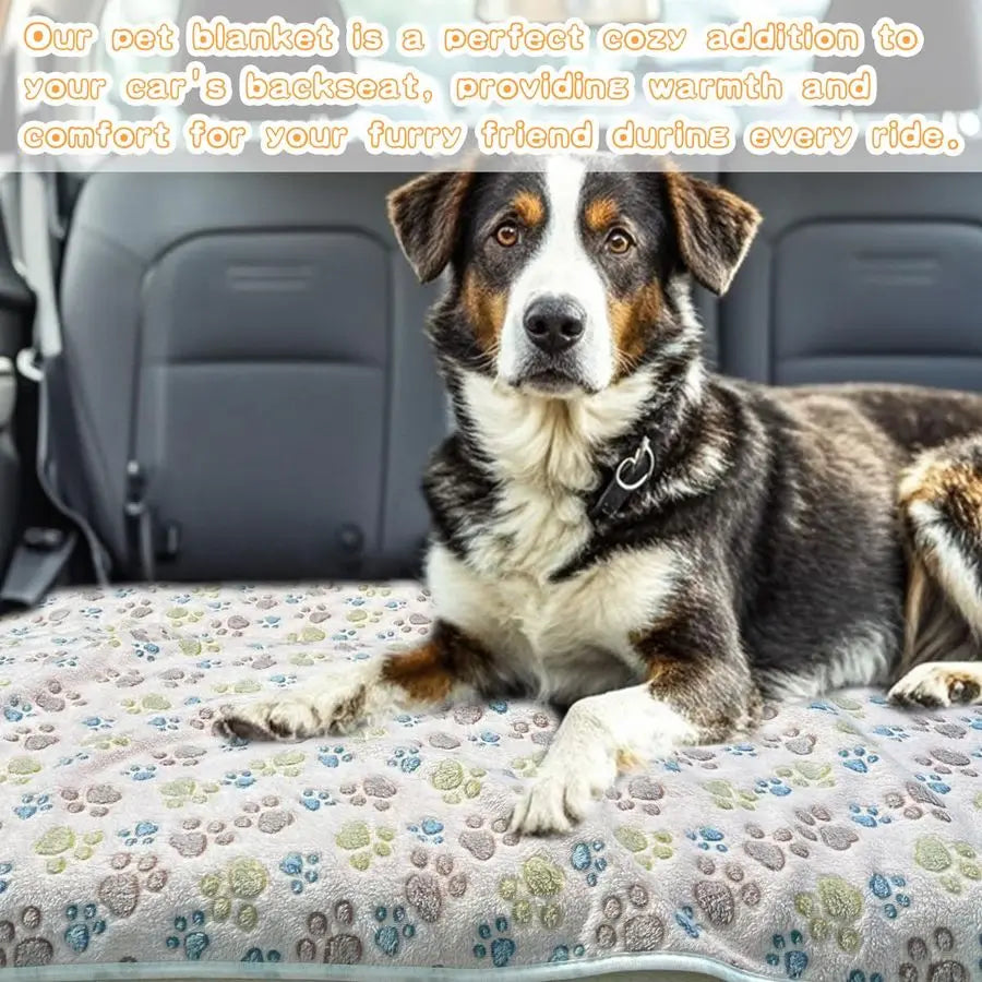Three Piece Fluffy Flannel Dog Blanket Set Washable