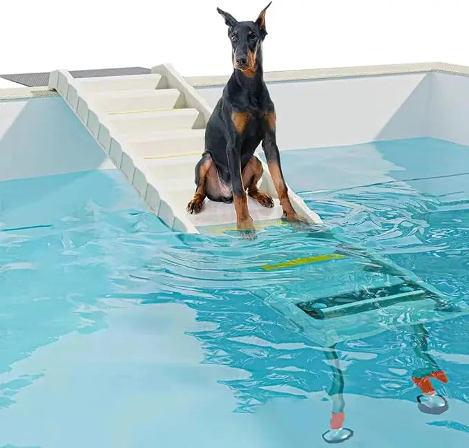 Foldable Dog Pool Ramp For Safe Water Access Easy Entry