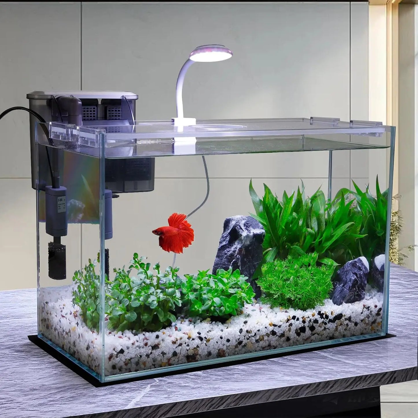 Small Glass Betta Tank Starter Kit With Filter And Light