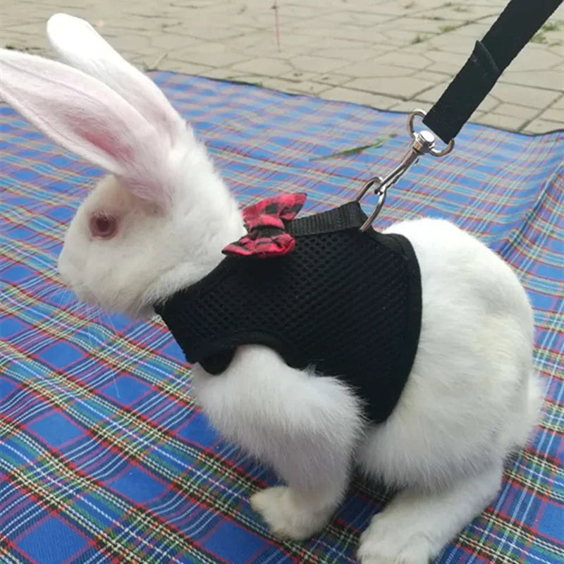 Small Animal Outdoor Walking Harness and Leash Set Cute Clothes for Puppy Kitten Pigs Bunny Chinchillas Necklace Rabbit Vest