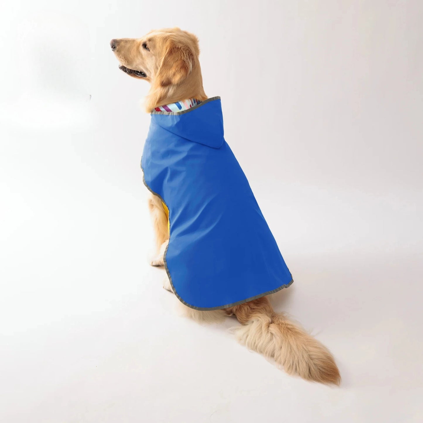 Two-Way Double-Layer Dog Raincoat For All-Weather Use