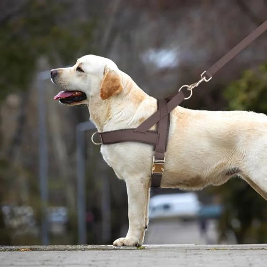 PU Leather Dog Collar Harness Leash Set Poop Bag Holder