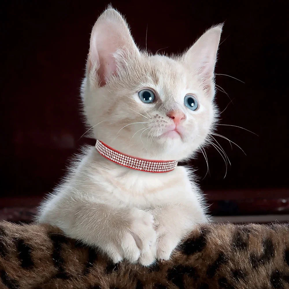 Soft Suede Cat Collar With Rhinestones And Bell Breakaway Adjustable
