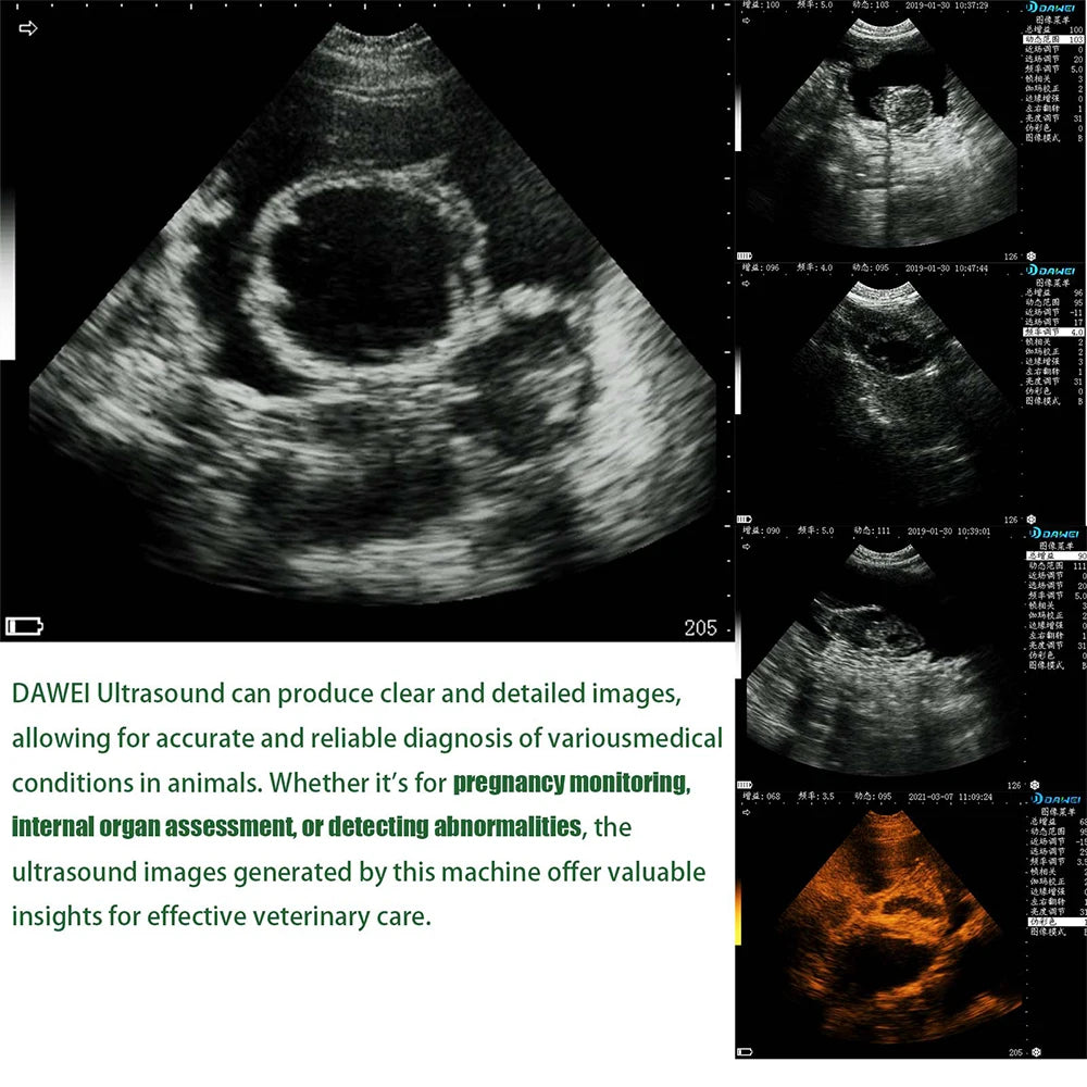 DAWEI Portable Veterinary Pregnancy Ultrasound Scanner With 3.5MHz Convex Probe