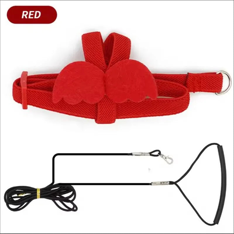 Parrot Harness And Leash Set For Birds Anti Bite Training Cockatiel