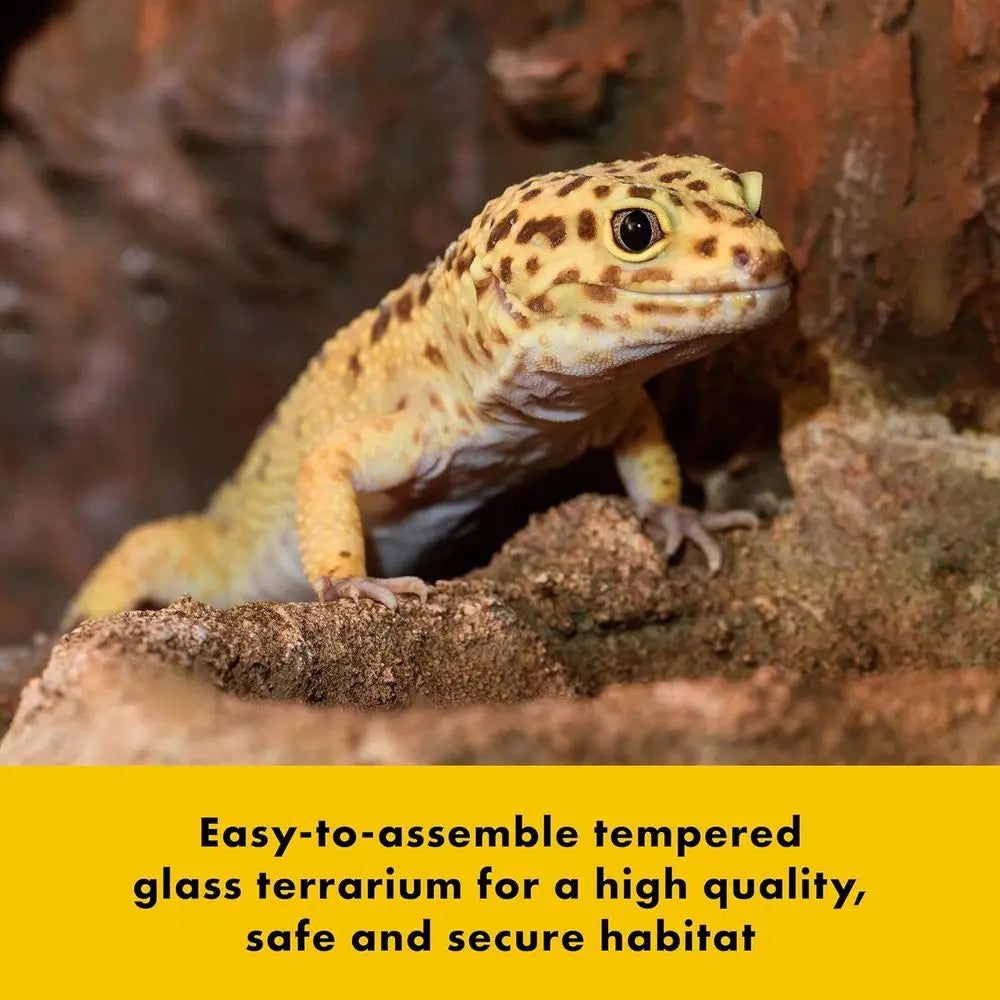Glass Terrarium With Bedding Tray For Reptiles And Amphibians
