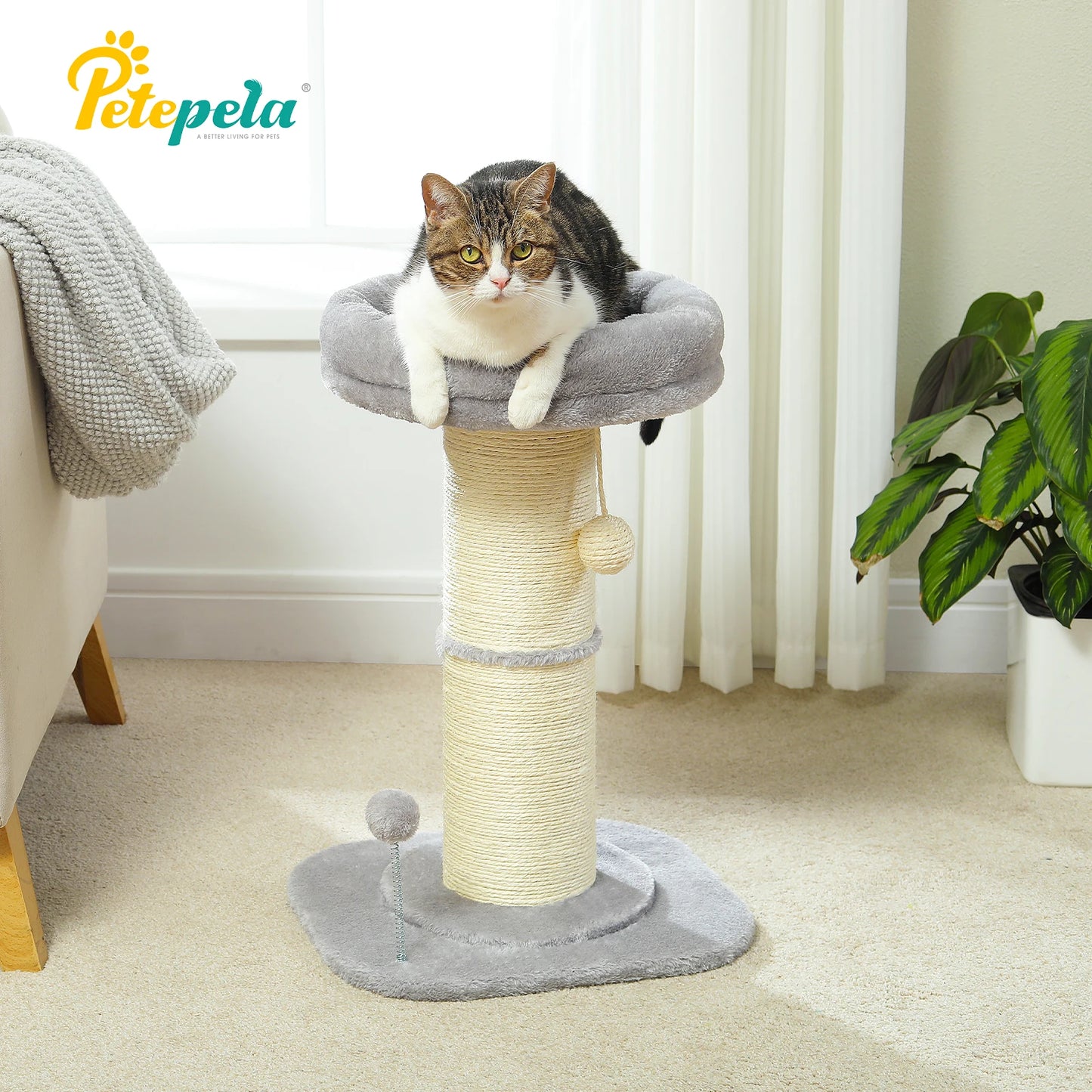 PAWZ Road Flower Cat Tree Scratching Post For Indoor Use