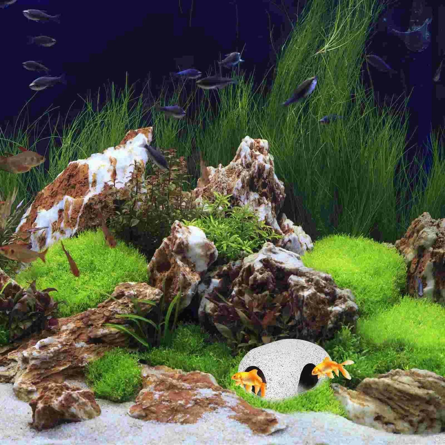 Ceramic Shrimp Cave Aquarium Ornament Hideaway Tank Decor