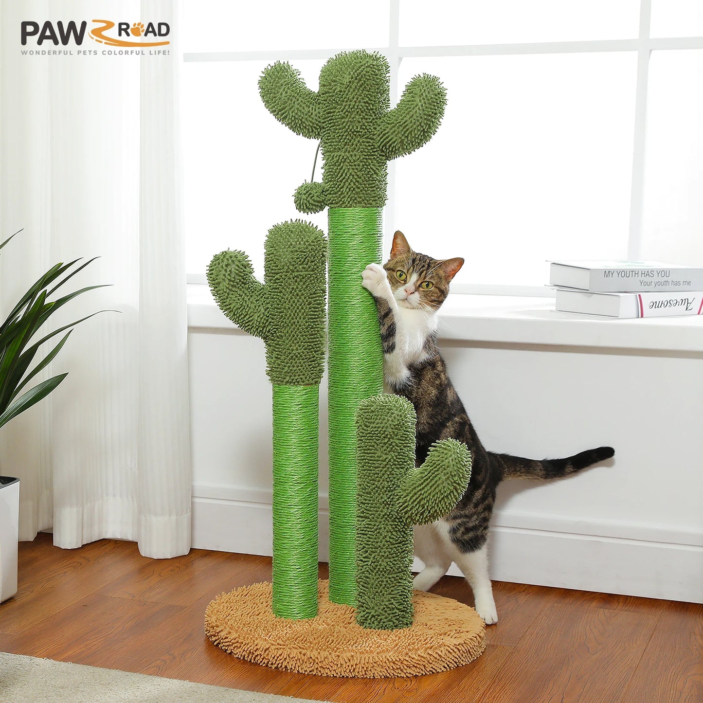 PEQULTICN Cactus Cat Tree With Condo Hammock And Ball